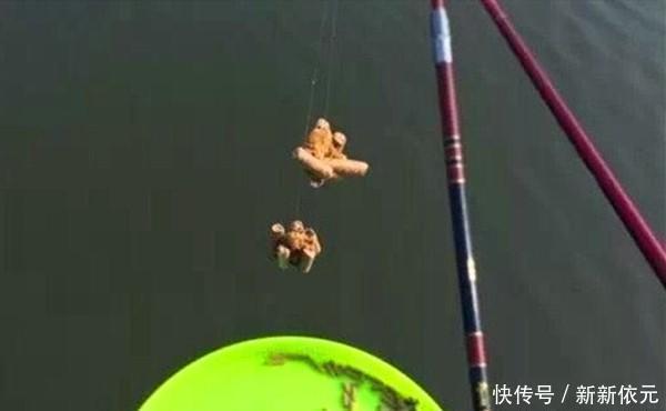 野钓大鱼用饵技巧,对比蘸米钓和麻团钓,用这几招,小鱼群钓大鱼