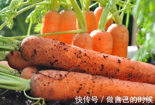 食物|长寿老人爱吃的此种食物,降血压、增强免疫功能,早知早受益