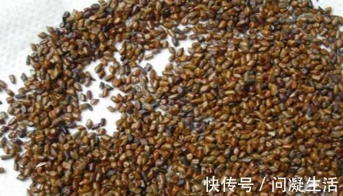 口臭|便秘总是反复不好,晨起喝此物,提高胃动力,促进消化,预防口臭