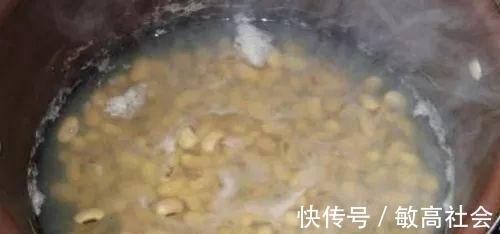 养蟹爪兰时先养根，盆里埋点这种东西，根系更旺，开花更多