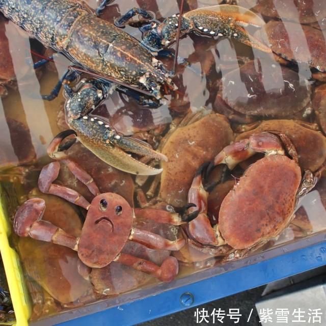 花式秀!儿子画成什么样,爸爸就能P成什么样子,花式秀父爱坐拥百万粉丝