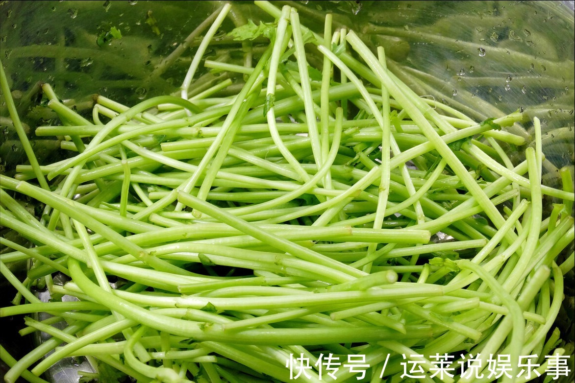 解暑|夏天多吃此菜，钙含量比牛奶高，气味清香，清热解暑，营养又好吃