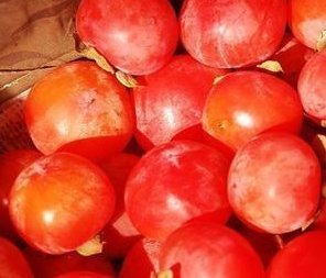 味道|3种“果树”最牛逼,沾土就能活,好养如绿萝,味道有酸有甜