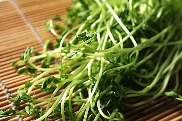 这几种绿叶菜的做法千万别弄错了!