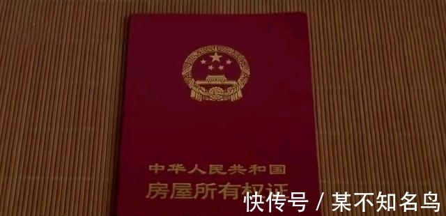 生育|女儿告父亲重婚“与已婚女性做试管”,父亲:我要亲生孩子有错