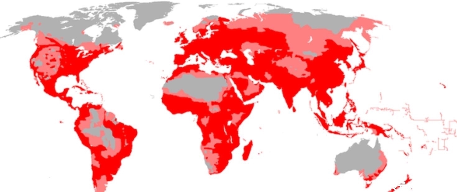 资源 现在世界上有70亿人口，那么地球人口容量极限多少？