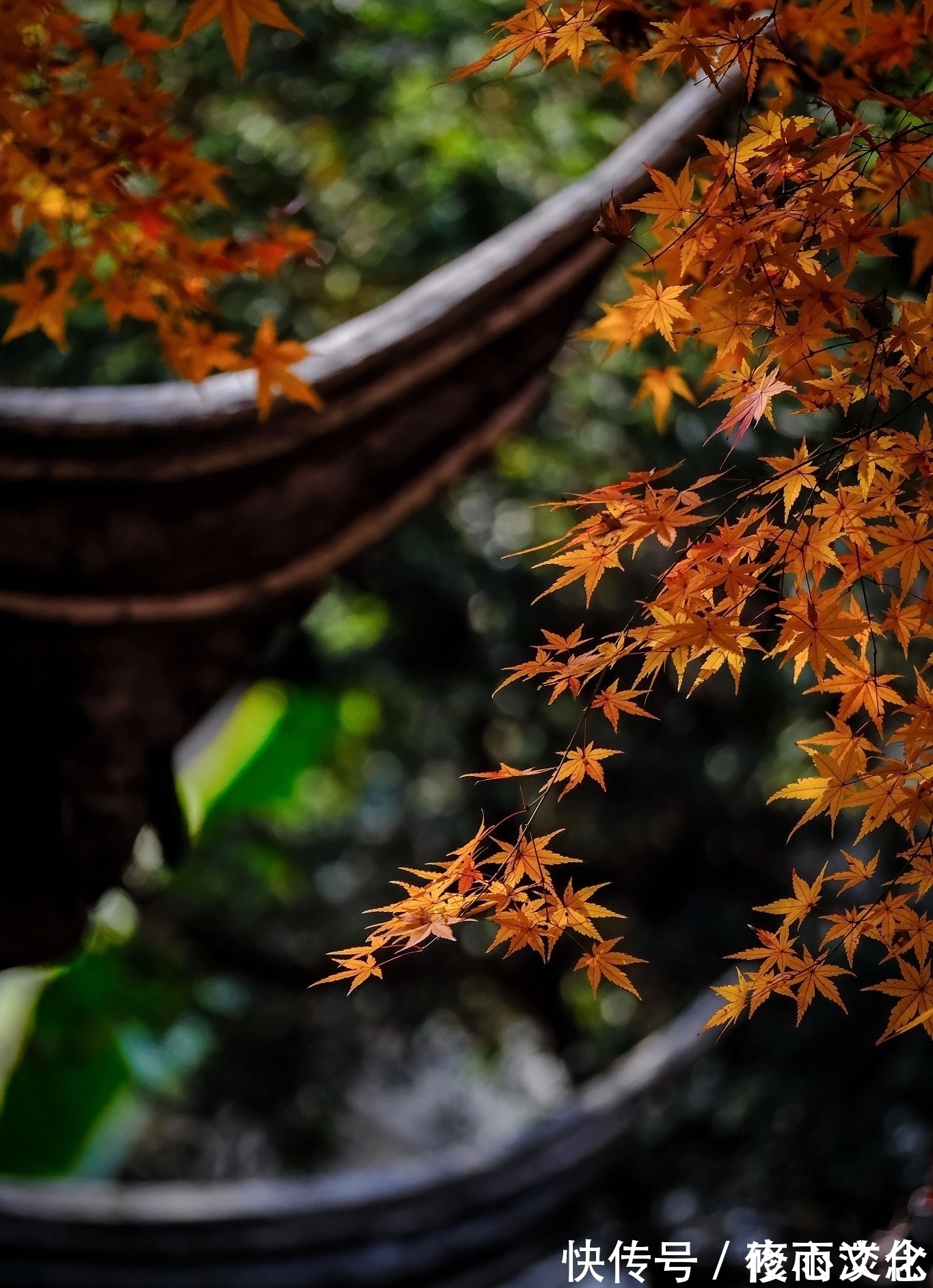 相思@一叶知秋,一念情深,谁是你眼底的惆怅,谁又是你纸上的相思