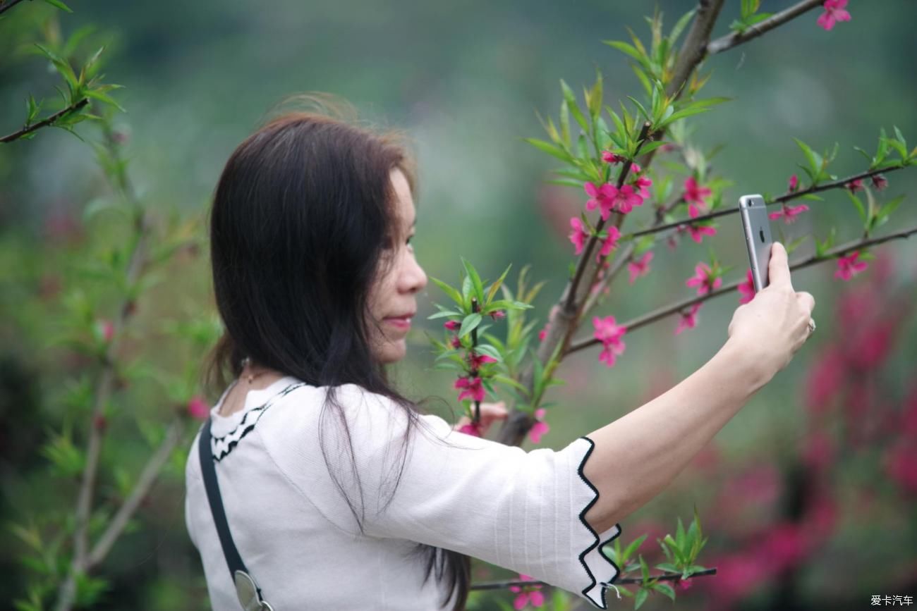 花开的颜色，正是喜欢的颜色，春天到了，是时候出去赏花了