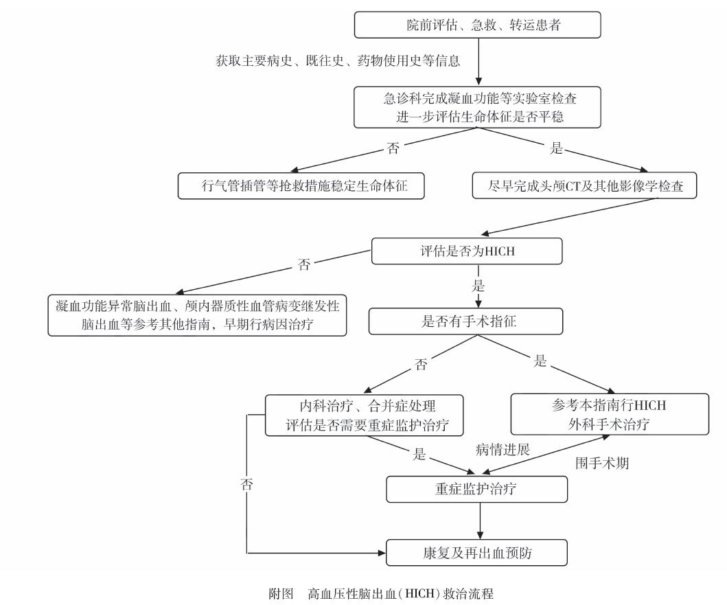 hich|【指南与共识】中国高血压脑出血多学科诊治指南