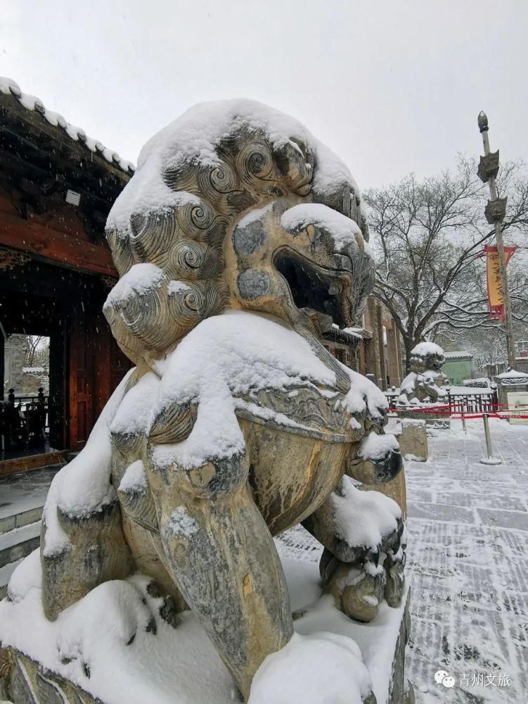 庚子年冬月，在青州古城听雪落下的声音～