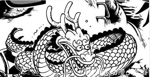 新世界|海贼王几颗特别的恶魔果实, 在新世界连3000万贝利都卖不出去!