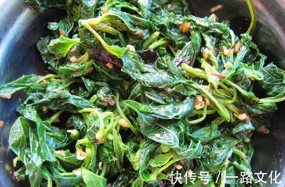 营养价值|天热，这3种野菜要多吃，比买的营养高，清肠消暑还补钙！