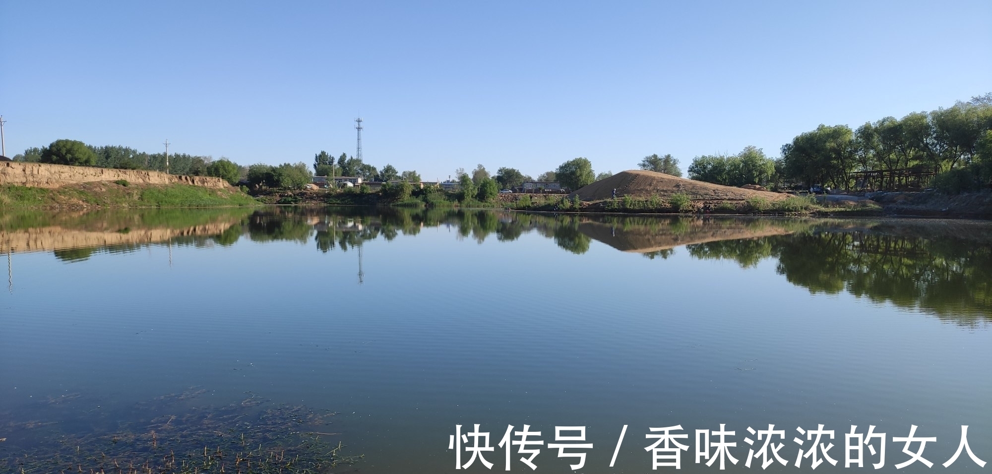 窝子|野钓难得一遇的“奇遇”半斤大鲫鱼排队咬钩,抓住机会你也行