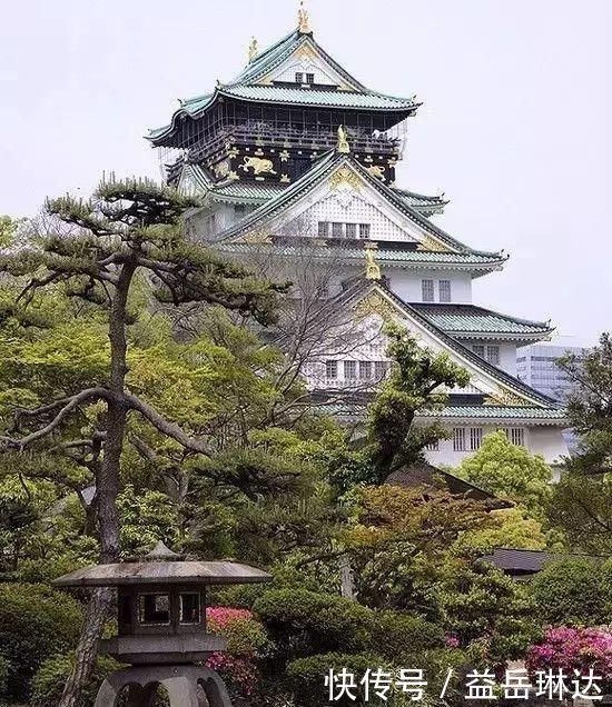 太美了，世界照片今天终于传来，罕见至极，一睹为快