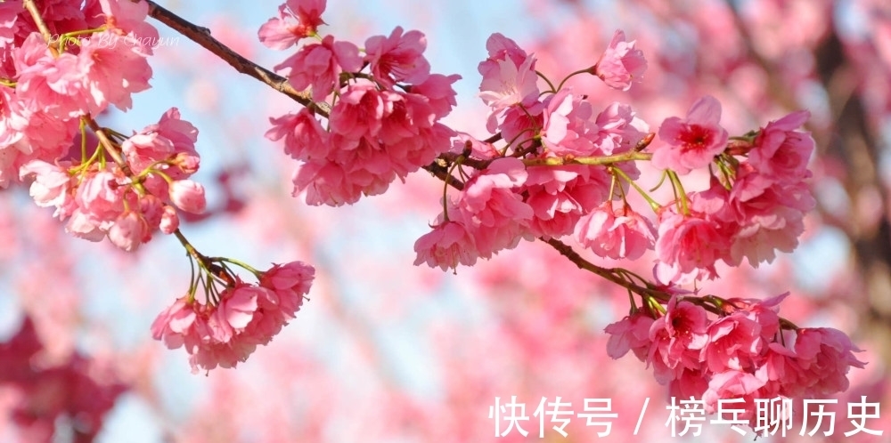 游春@宋代著名数学家的一首小诗,十个数字全用上,寥寥几笔写尽春色!