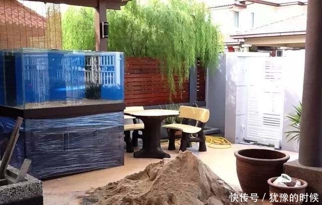 鱼缸和池还可以这样结合?只能说很有想法,有钱我也搞一个!