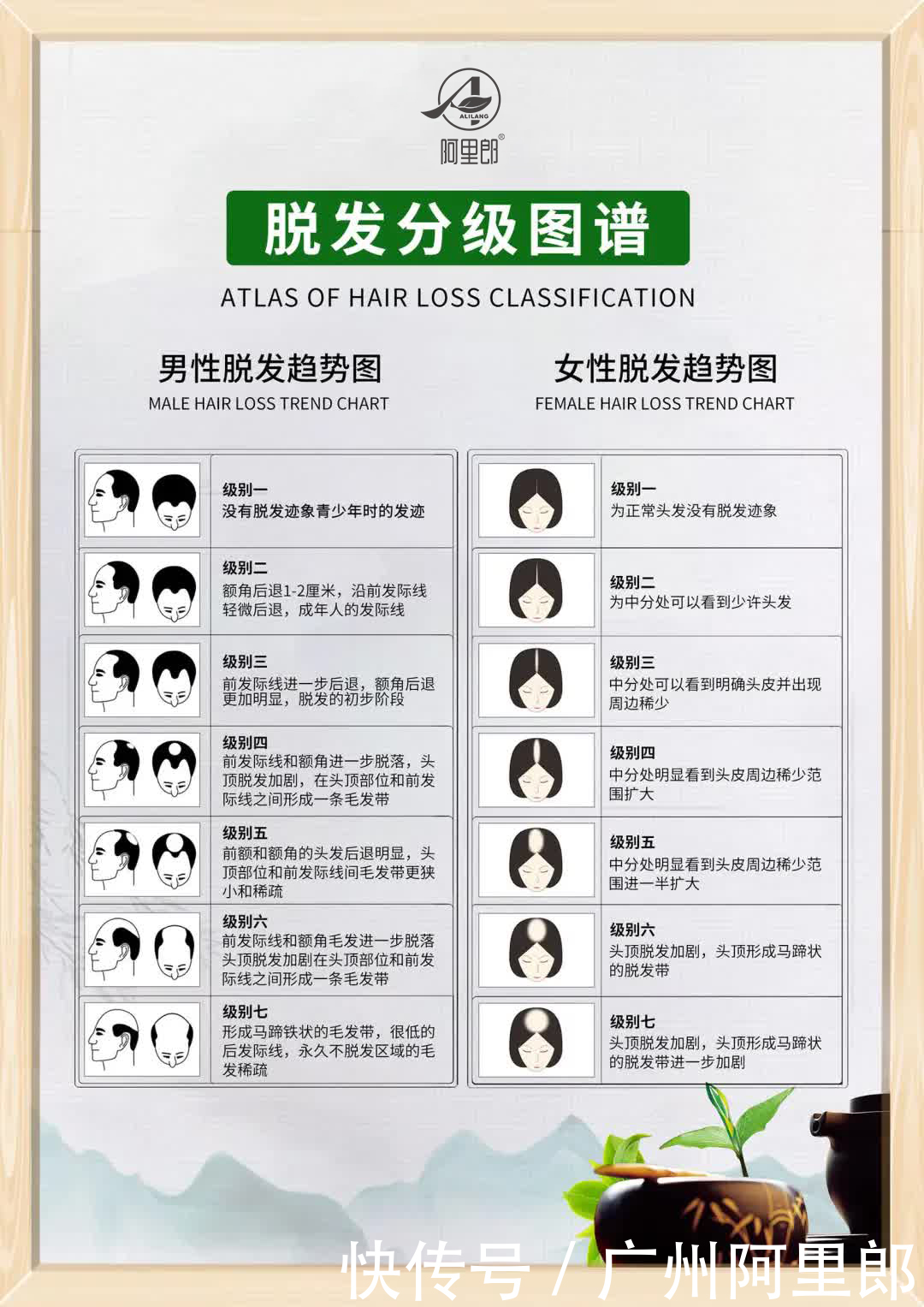 头发|#脱发救星#让头皮说话