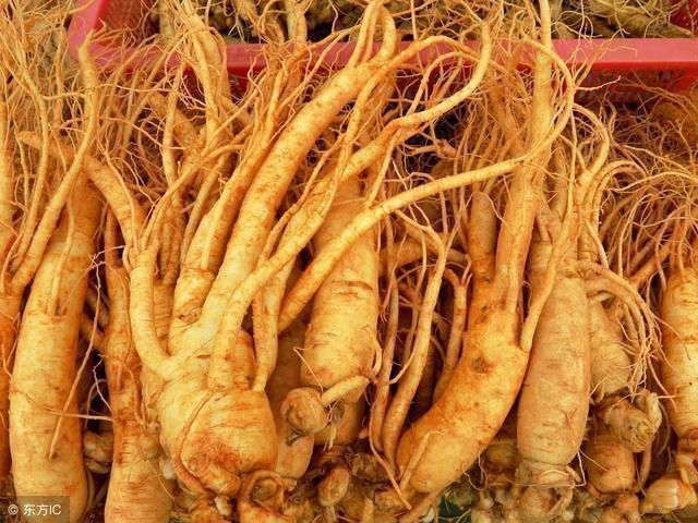 岳美中|中药荟萃,养生长寿的几味中药,少生病更健康