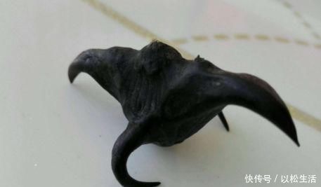 本草纲目|羡慕别人皮肤好，不妨吃以下食物，肌肤红润，容光焕发，更健康