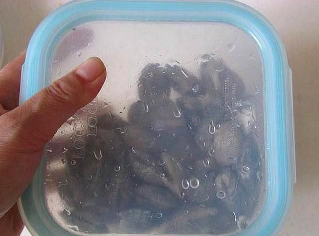 保鲜盒|花甲泡过盐水还有沙，老渔民支了这一招，8分钟不到，自动吐干净