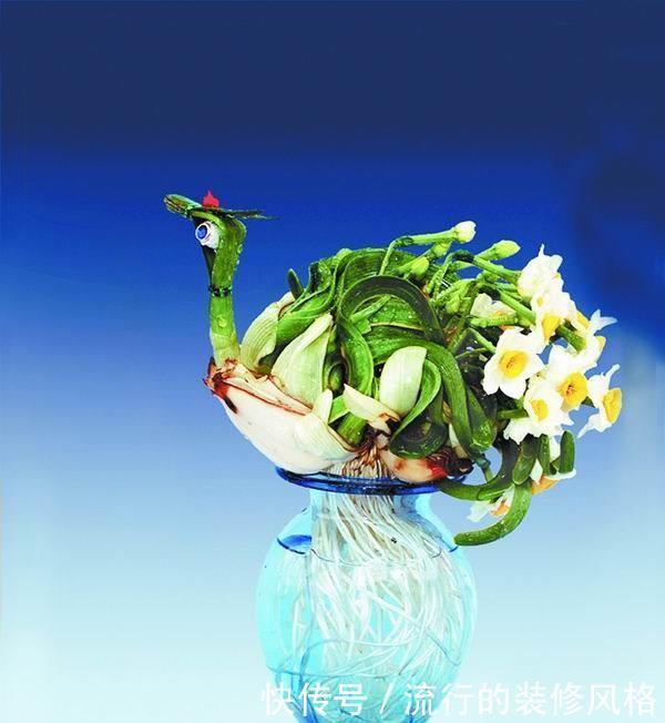 种球|水仙种球雕刻几刀,开出极品水仙花,惊爆眼球