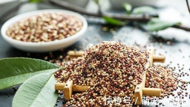 米饭|有4种主食,热量低,脂肪低,代替馒头米饭,难怪怎么吃也不胖