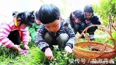 美味|它是地里生长的“天然青霉素”，隔三差五吃一次，营养美味又解馋