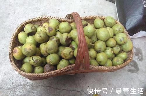 核桃|经常失眠吃点它，胜过“安眠药”，从此远离失眠，睡得香！