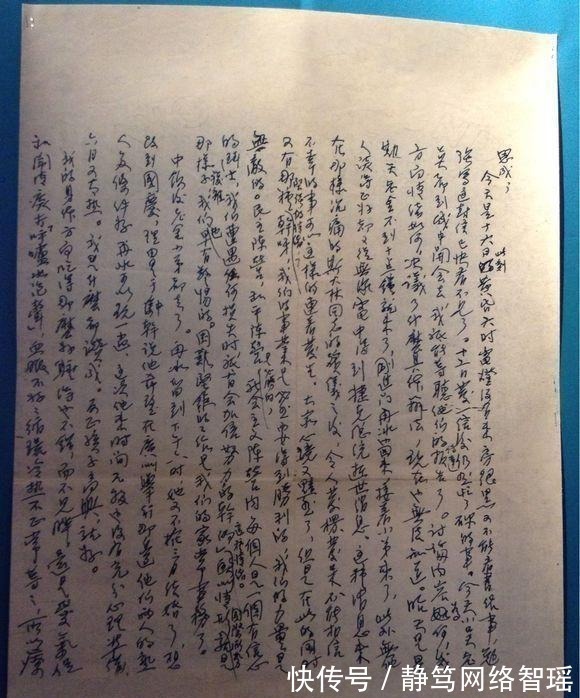 英文#植物大战僵尸:它们能够取代坚果家族?站着不动都能消灭僵尸!