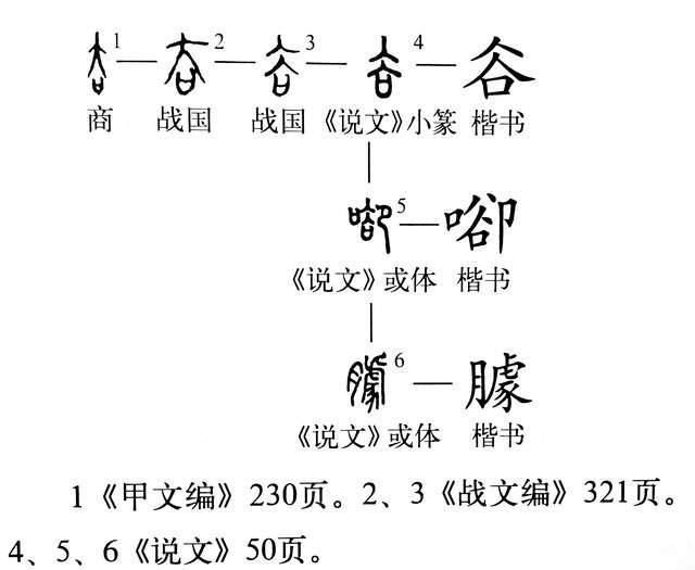  写错|《说文解字》第369课：“只”字的繁体，你很可能写错了