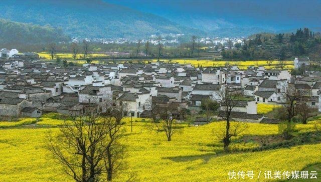 圆弧|【安徽油菜花】最全徽州油菜花赏花地图来了,这份攻略要收好
