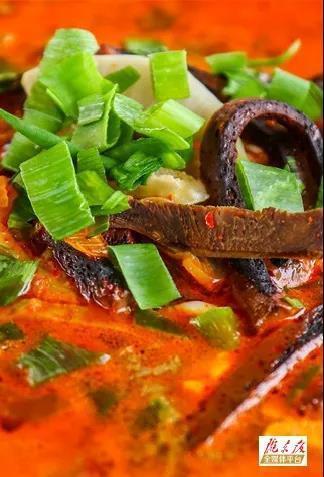 开通|【高铁来了】银西高铁即将开通!3个半小时穿越陕甘宁,吃遍3地美食