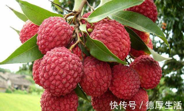 葡萄|高血压患者请记住，千万别吃这些食物，吃多了血压蹭蹭往上涨