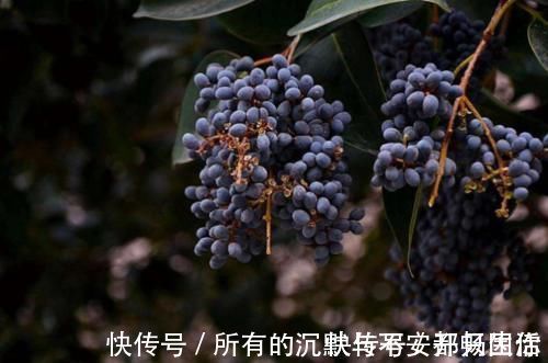 血管堵塞|脑梗的“罪魁祸首”被揪出,医生这2类食物再馋也要管住嘴