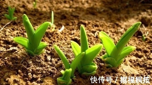 诗作$历史上最“懒”的诗人,一首诗只有2句,却成千古绝唱流传至今