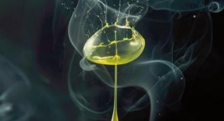 胖子|痰湿、寒痰、痰热有什么区别？又该怎么调理？胖子必须清楚