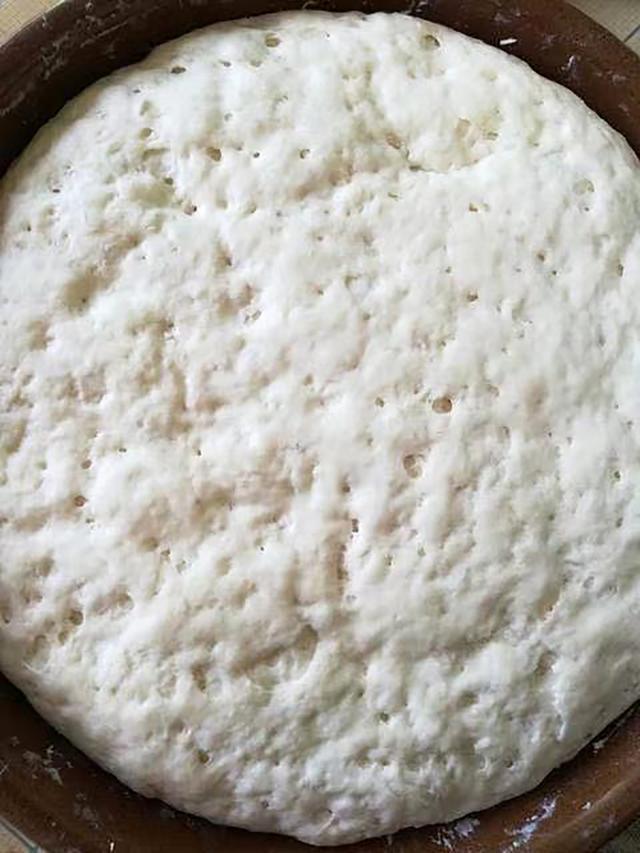 酵母粉发面做包子太慢教你一招,20分钟就能发满盆,快速省事