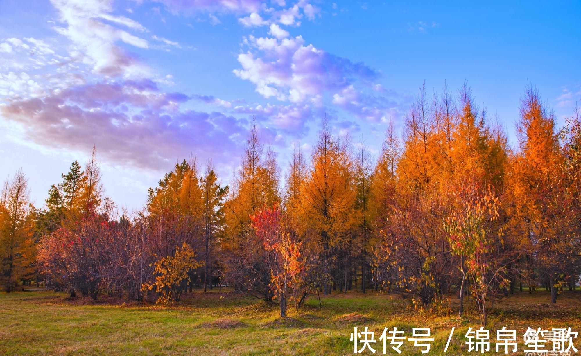 走进大兴安岭遇见秋色