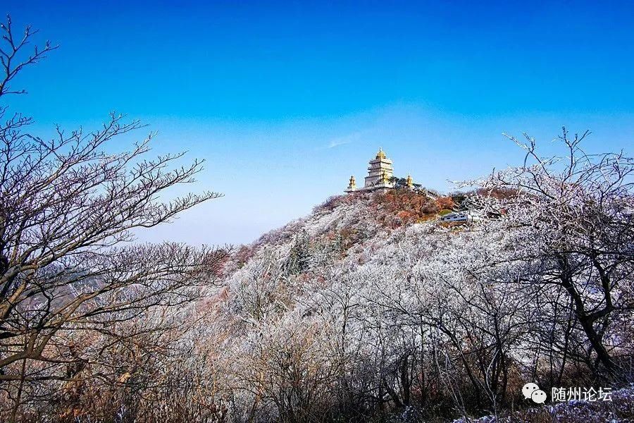 游人|大洪山冰雕奇观！银装素裹·玉树琼枝·游人络绎！