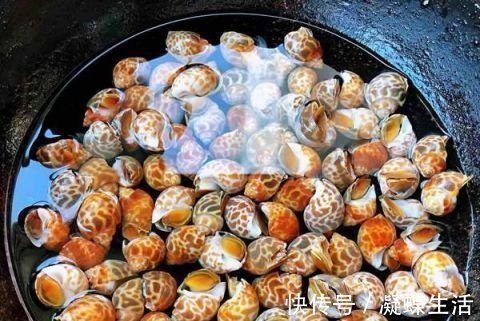 花螺|这东西在美国卖出了高价,中国却要花重金清理,食客:长错了地方