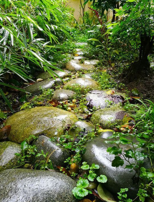 等我们老了,找个院子,清晨养花,傍晚喝茶。