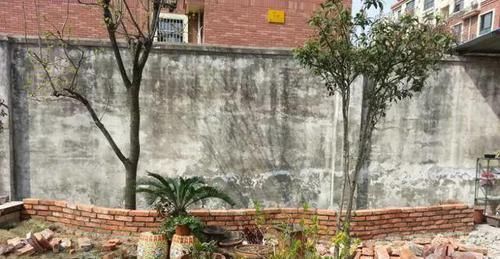 我的100㎡农家小院,种菜、养花、植树、养鱼,漂亮极了