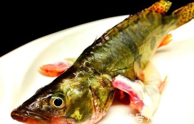 买鱼时,内行人专买这5种鱼,肉嫩刺少营养高,老渔民自己都爱吃