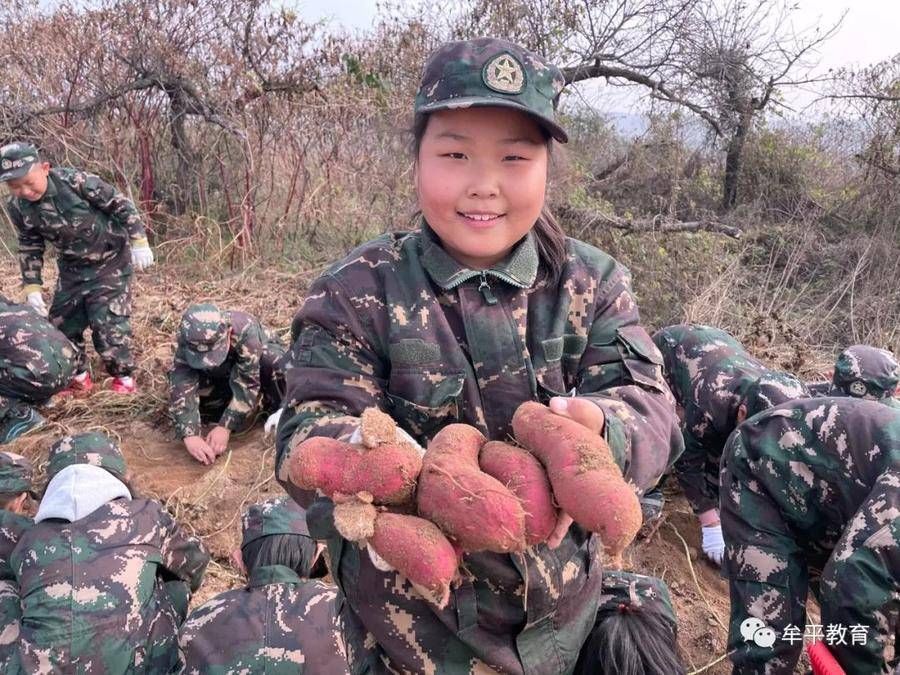 沉浸式|山东牟平：“沉浸式”劳动教育让学生收获满满