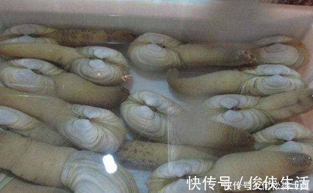 含钙量是牛奶的5倍，外国人视为高端菜，国内种植却少有人吃过