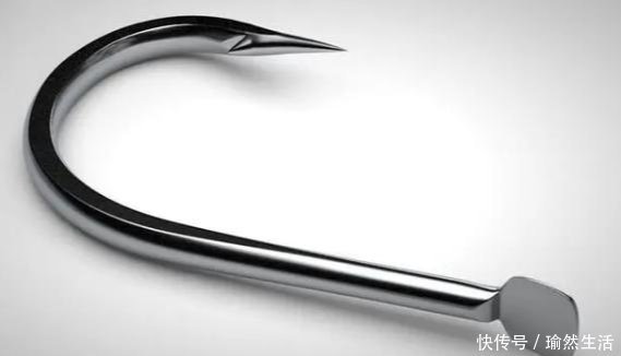 小鱼|钓鱼新手使用鱼钩的最大误区:别再用伊豆钓鲫鱼,钩型必须这样选