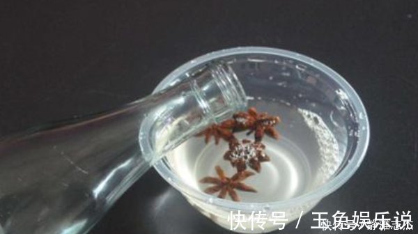 八角放白醋里泡一泡,解决了家家户户的烦恼,看完涨知识