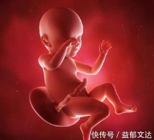 卵子|宝宝的性别是什么时候决定的，是受精时还是受精后呢