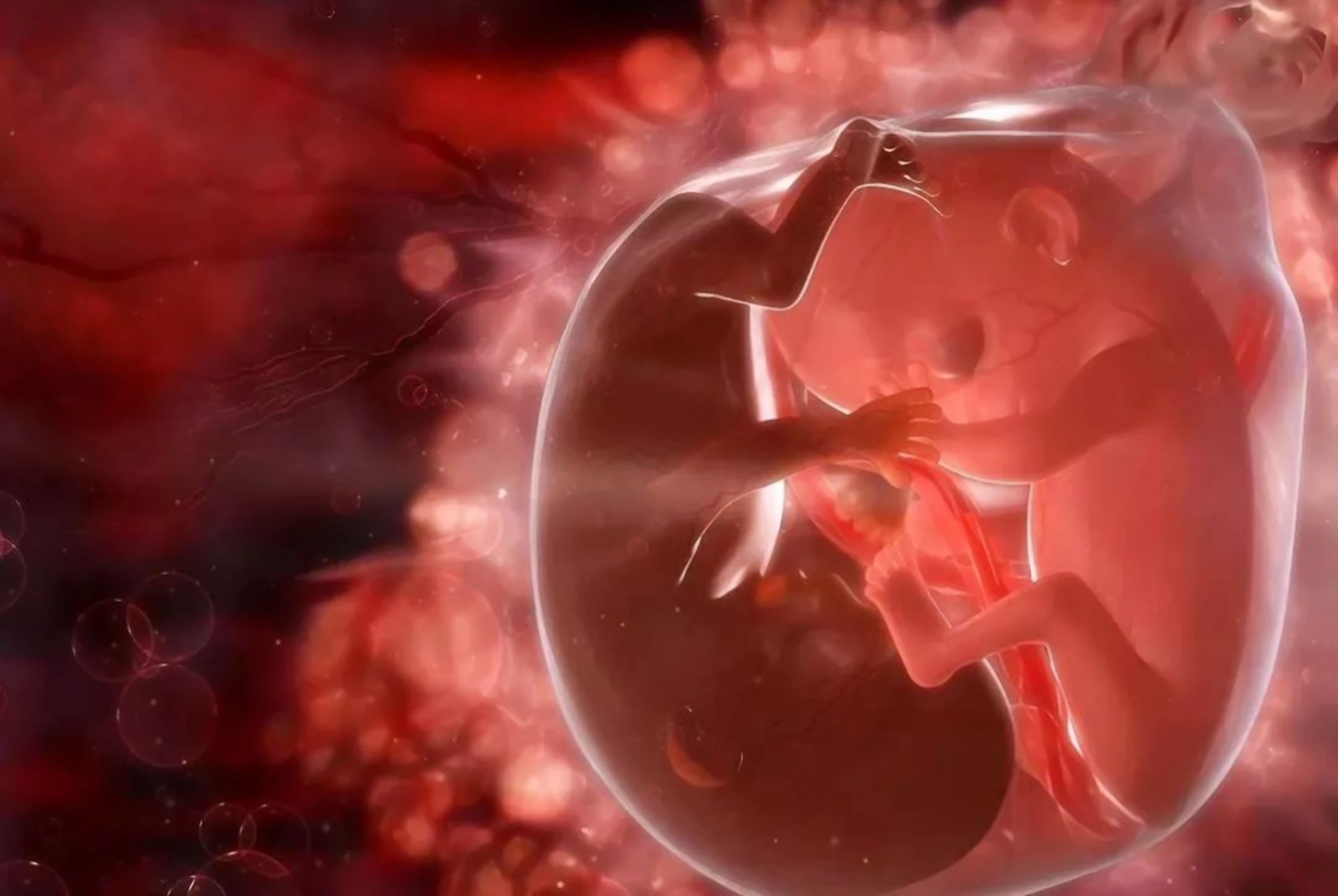 孕妈|宝妈要了解胎儿的“猛涨期”，如果补得早，肉可能会长在自己身上