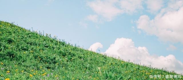 沿途|天山北麓，伊犁河谷上超美的草原